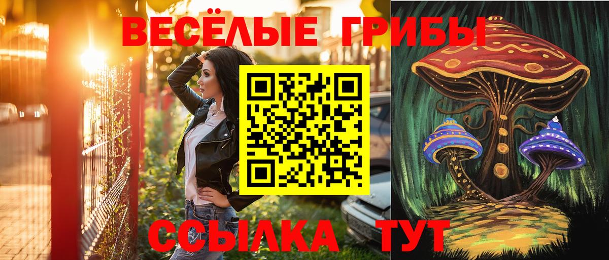 Псилоцибиновые грибы Psilocybine cubensis Советский