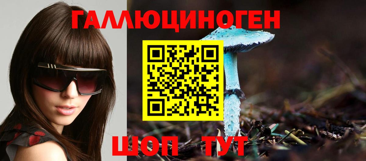 Советский  Псилоцибиновые грибы Psilocybine cubensis  Псилоцибиновые грибы мухоморы  Вход с VPN 